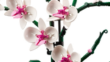 LEGO Orchid model 608 piece set (British brand)