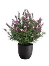John Lewis Vistafolia Outdoor Artificial French Lavender Bush- Buy online at McGrocer