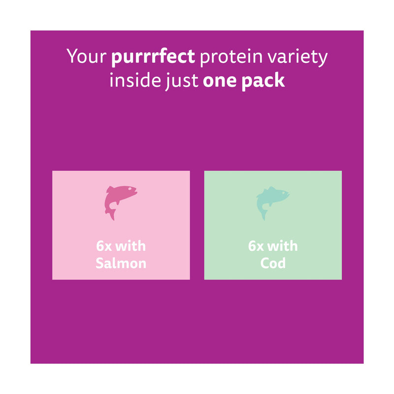 Whiskas cat food pouches Fish Favourites in Jelly 12x85g, UK version