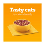 Pedigree wet dog food mixed in jelly mega pack 40x100g, imported from the UK