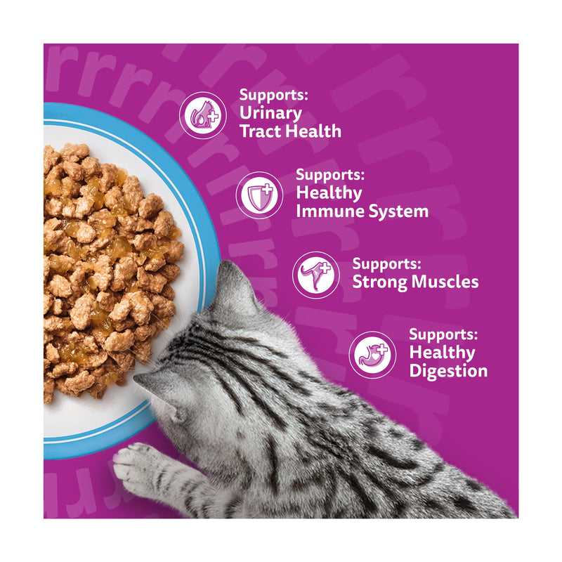 Whiskas cat food pouches Fish Favourites in Jelly 12x85g, UK version