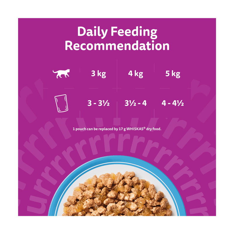 Whiskas cat food pouches Fish Favourites in Jelly 12x85g, UK version