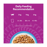 Whiskas cat food pouches Fish Favourites in Jelly 12x85g, UK version