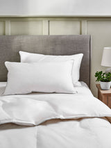 Next Duck Feather and Down Firm Bed Pillows 2 Pack- Buy online at McGrocer