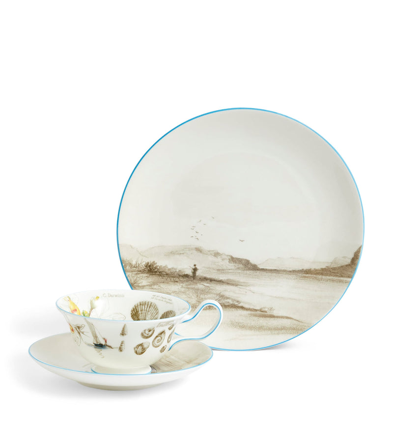Wedgwood Voyage of the Beagle Brazil bone china tea set (British brand)