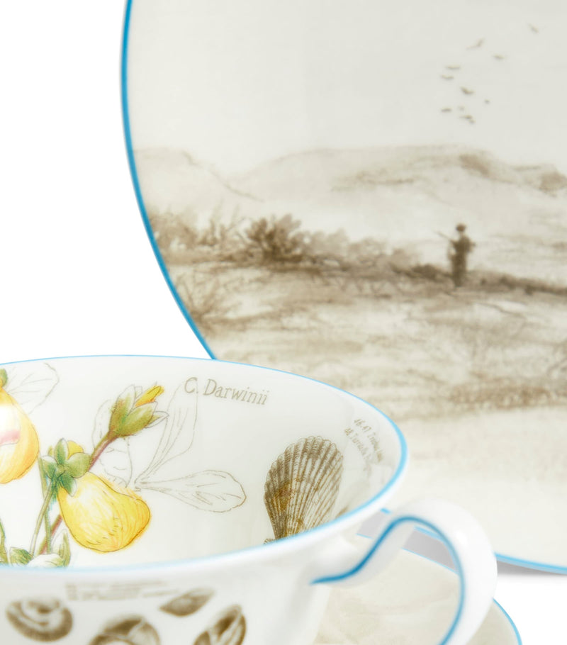 Wedgwood Voyage of the Beagle Brazil bone china tea set (British brand)