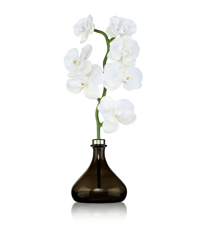 Harrods Senti The Orchid Amber and Oud Reed Diffuser 250ml- Buy online at McGrocer