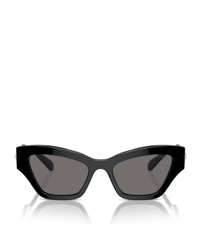 Harrods Swarovski Acetate SK6021 Sunglasses- Buy online at McGrocer