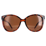 Superdrug Montana MP74B Shiny Tortoise Brown Polarized Women's Sunglasses- Buy online at McGrocer