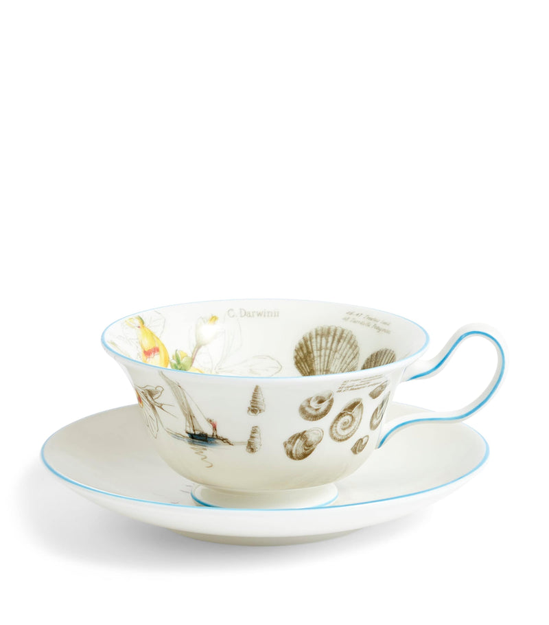 Wedgwood Voyage of the Beagle Brazil bone china tea set (British brand)
