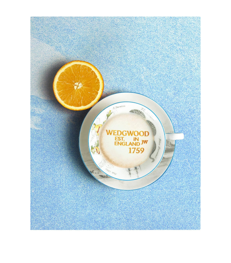 Wedgwood Voyage of the Beagle Brazil bone china tea set (British brand)