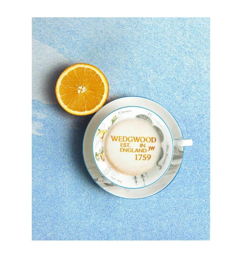 Wedgwood Voyage of the Beagle Brazil bone china tea set (British brand)