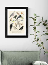 Next East End Prints Black Garden Birds Framed Art Print- Buy online at McGrocer