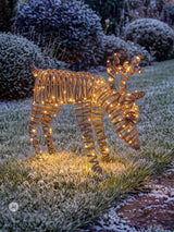 Next Charles Bentley Small Rattan Light Up Reindeer Christmas Decoration- Buy online at McGrocer