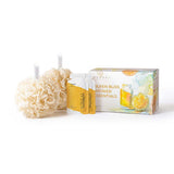 Superdrug Nougat London Silken Bliss Shower Essentials- Buy online at McGrocer