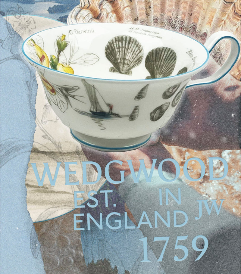 Wedgwood Voyage of the Beagle Brazil bone china tea set (British brand)