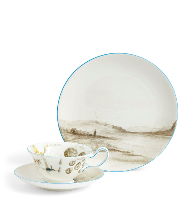 Wedgwood Voyage of the Beagle Brazil bone china tea set (British brand)