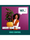 WiZ smart plug remote control device, UK version