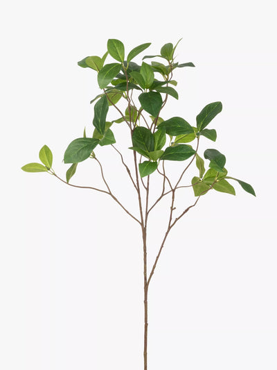 John Lewis Floralsilk Artificial Enkianthus Spray Green Room Decoration- Buy online at McGrocer