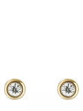 Ted Baker Sinee Mini Crystal Stud Earrings