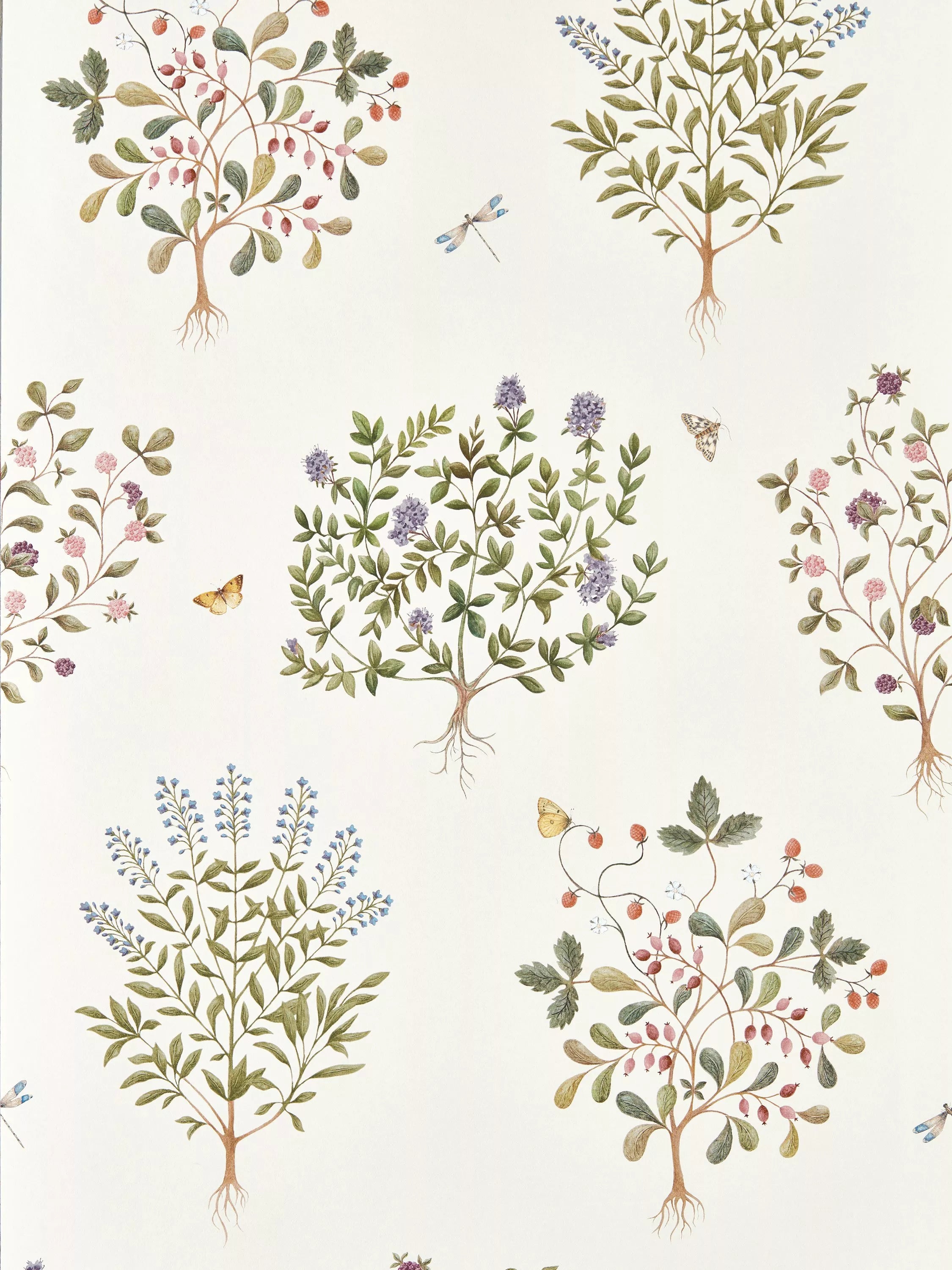 Sanderson Thyme Walk wallpaper with herbal designs (British brand)