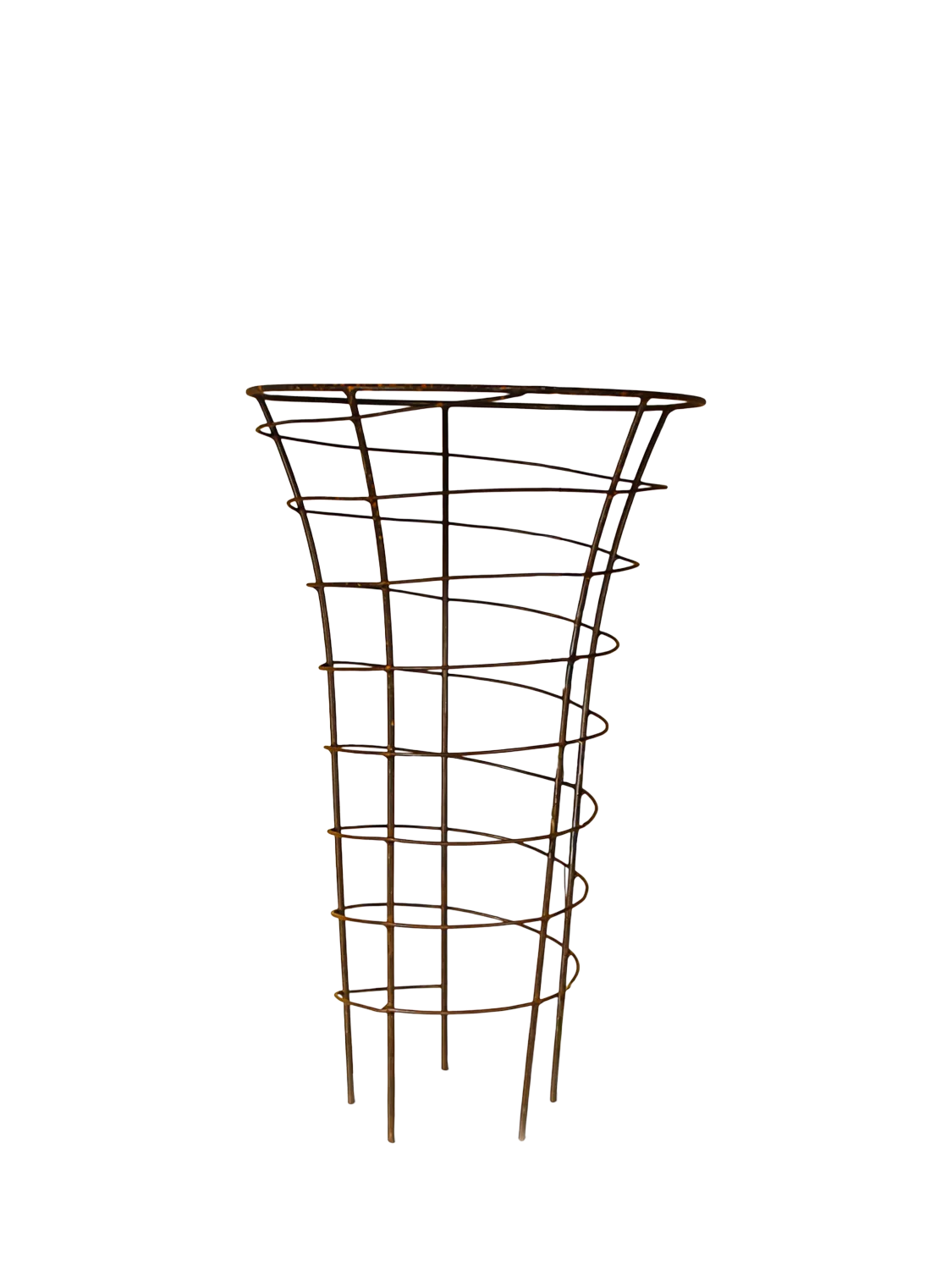 Wilstone Trumpet Plant Frame H80cm - British product