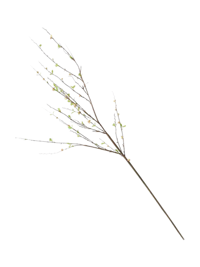 John Lewis West Elm Faux Blossom Branch- Buy online at McGrocer