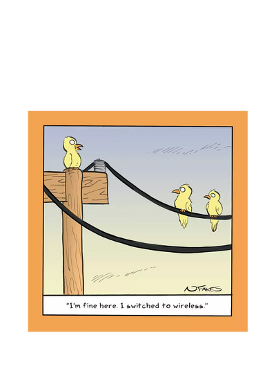 John Lewis Woodmansterne Birds On Telephone Wire Blank Greeting Card- Buy online at McGrocer