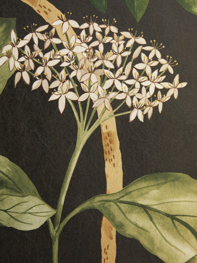 John Lewis Liberty London Magical Plants Wallpaper- Buy online at McGrocer