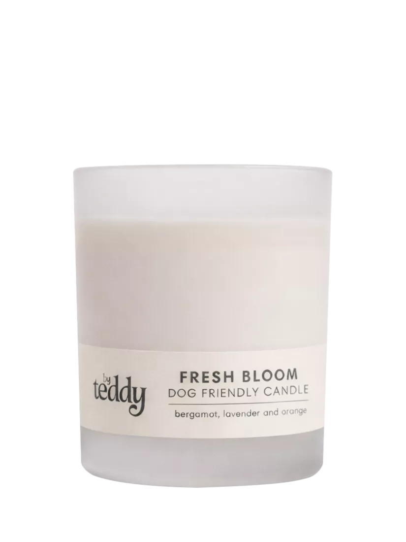 By Teddy Fresh Bloom scented candle 250g, imported from the UK