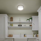 Hinkley Hadley chrome flush ceiling light, imported from the UK