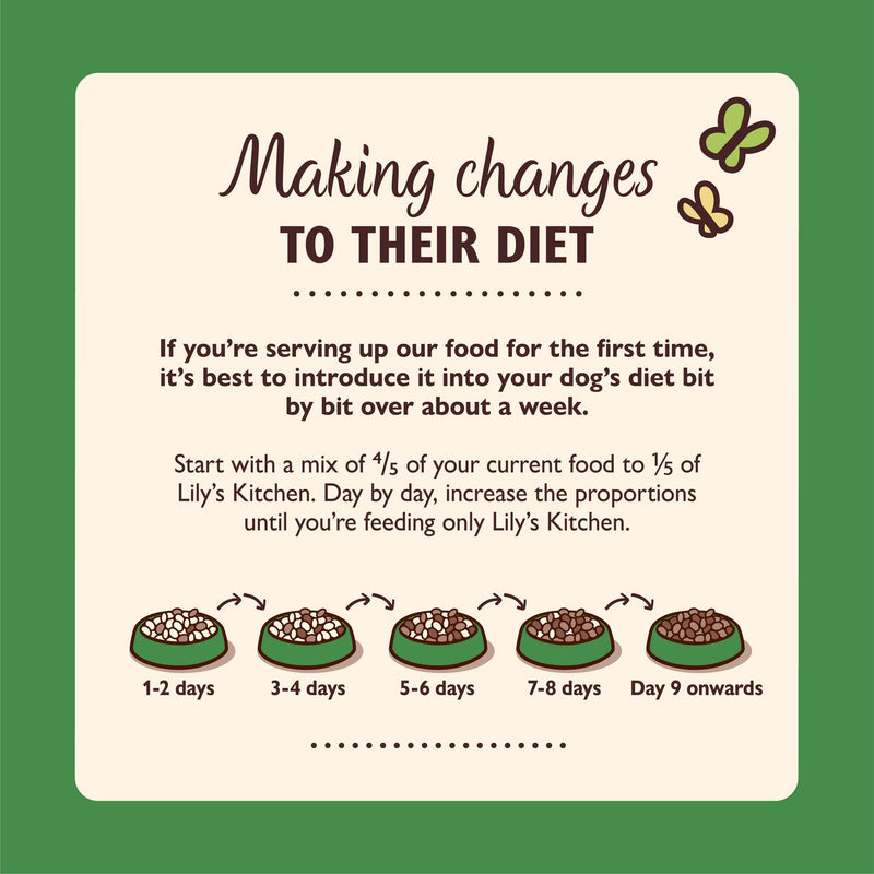 Lily's Kitchen Lamb Hotpot wet dog food 400g, UK version