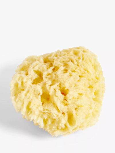 John Lewis John Lewis Baby Natural Bath Sponge- Buy online at McGrocer