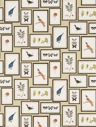 John Lewis Sanderson Picture Gallery Wallpaper- Buy online at McGrocer