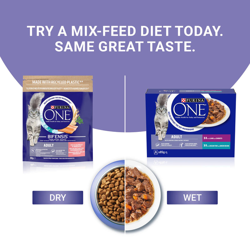 Purina One adult dry cat food salmon 800g, UK version