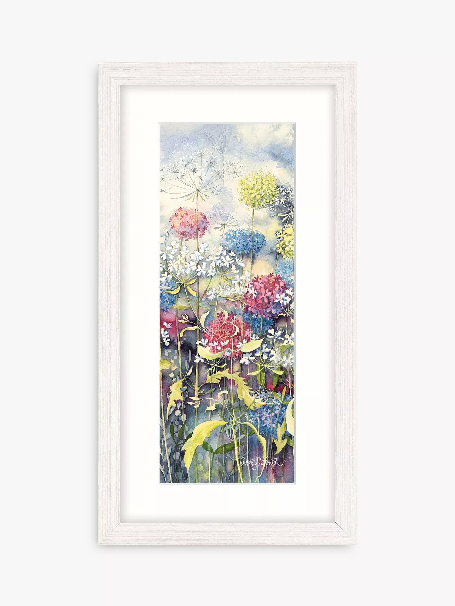 John Lewis Floral 1 framed print Blue/Multi 43.5 x 23.5cm, UK version