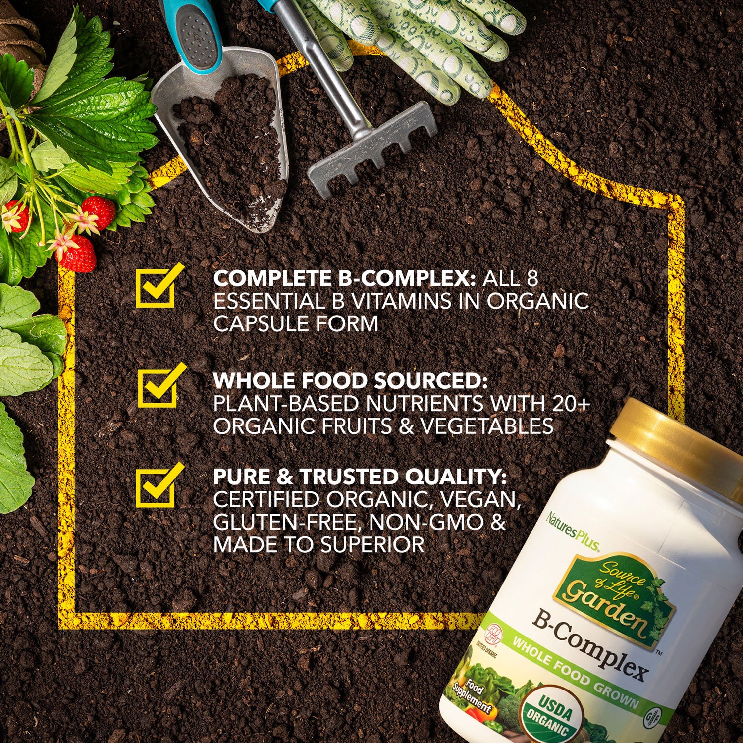 NaturesPlus Sol Garden Organic B Complex 60 capsules, imported from the UK
