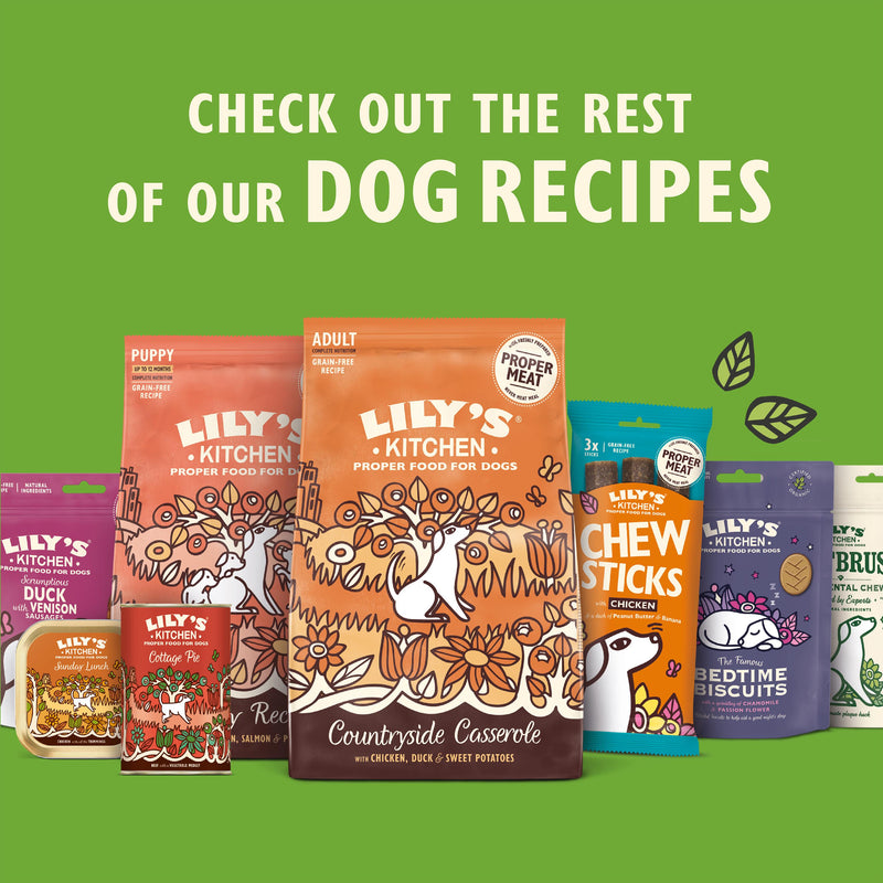 Lily's Kitchen Sunday Lunch wet dog food 150g (British brand)