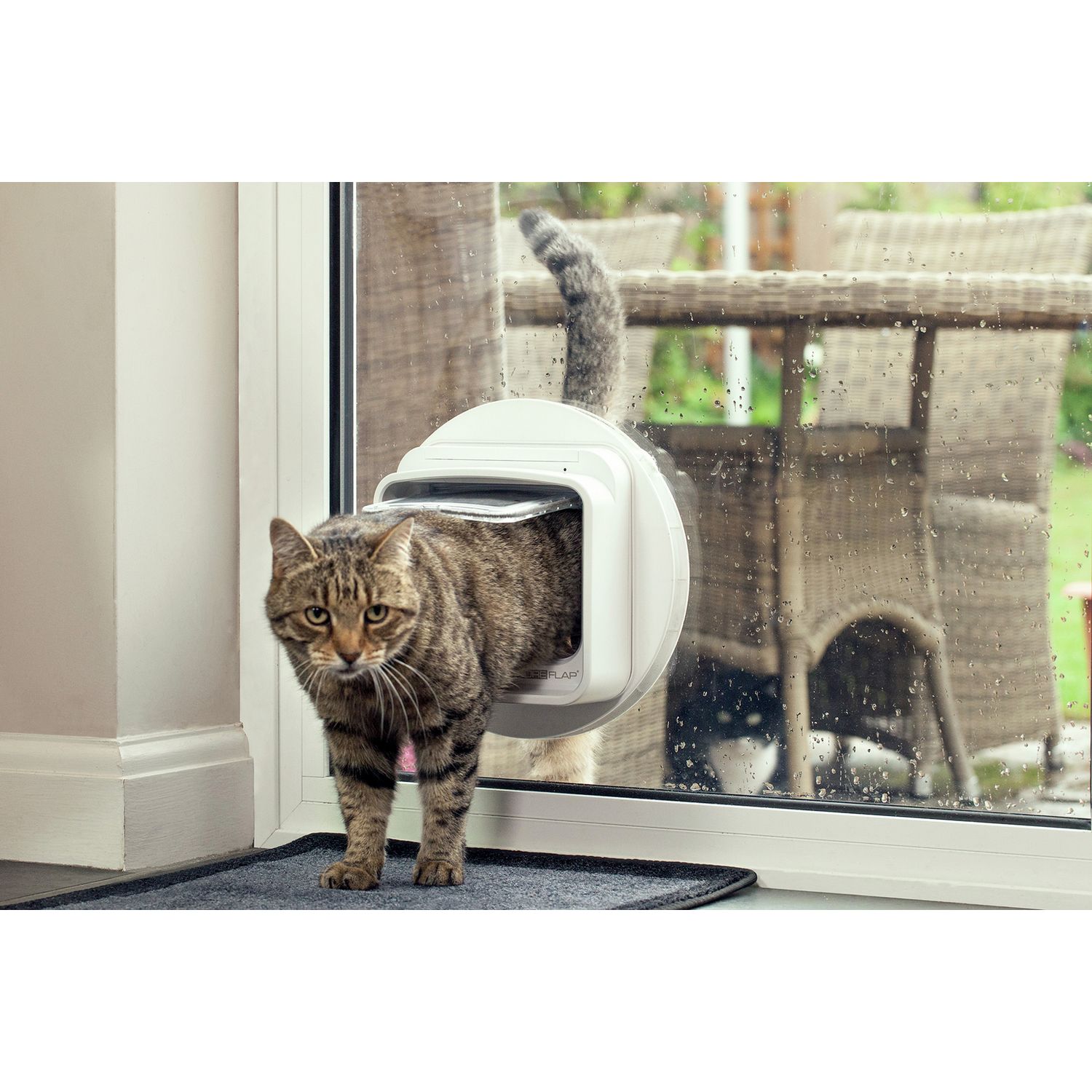 SureFlap DualScan Microchip Cat Flap, imported from the UK