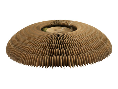 lidl 3-in-1 Fish Design Cat Scratching Board L18.5 x W7.5 x H7cm- Buy online at McGrocer
