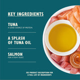 Lily's Kitchen tuna salmon fillets cat food 70g, imported from the UK