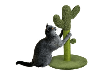 lidl Cat Scratching Post Cactus Design with Play Ball, 38 x 54cm- Buy online at McGrocer