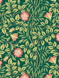 Hoopla Walls Sage Green Rosehip Wallpaper Sample A4
