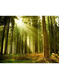 Origin Murals Evergreen Spruce non-woven A3 sample - British product