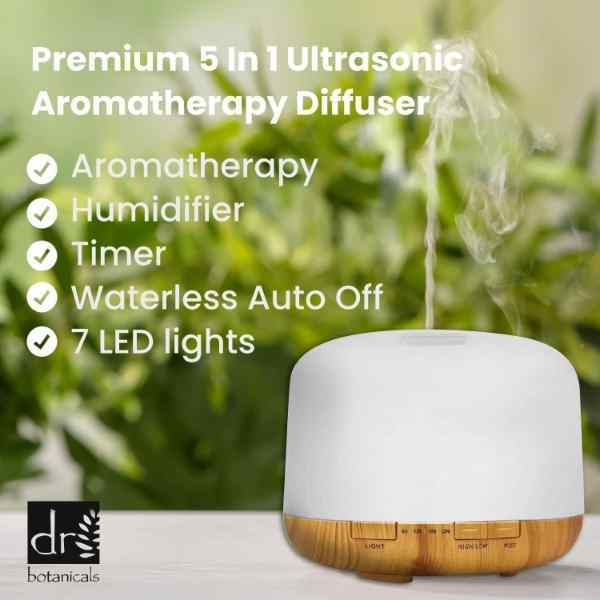 Dr Botanicals Premium Rejuvenating Eucalyptus Diffuser Kit