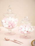Maison by Premier clear glass candy storage jar (British brand)