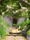 Dibor hanging heart bird feeder - British product